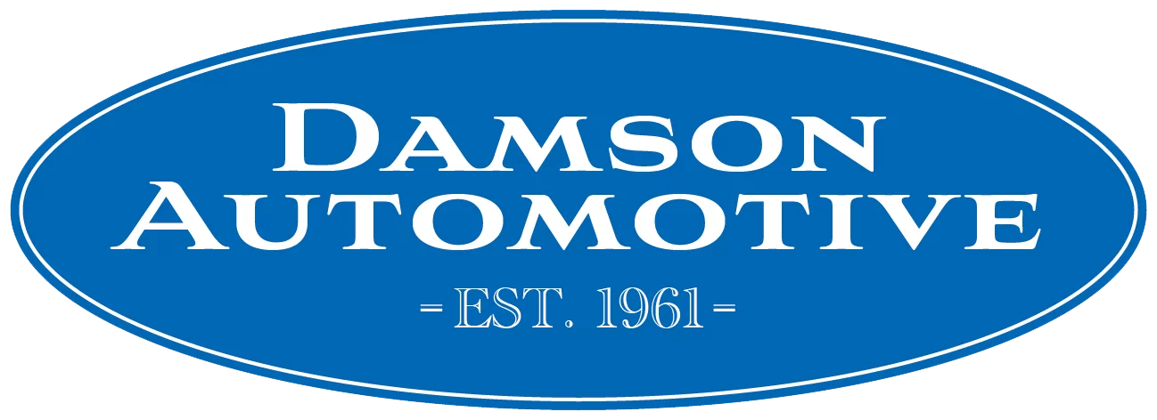 Damson Automotive since 1961 logo no back