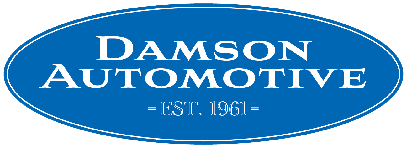 Damson Automotive since 1961 logo no back