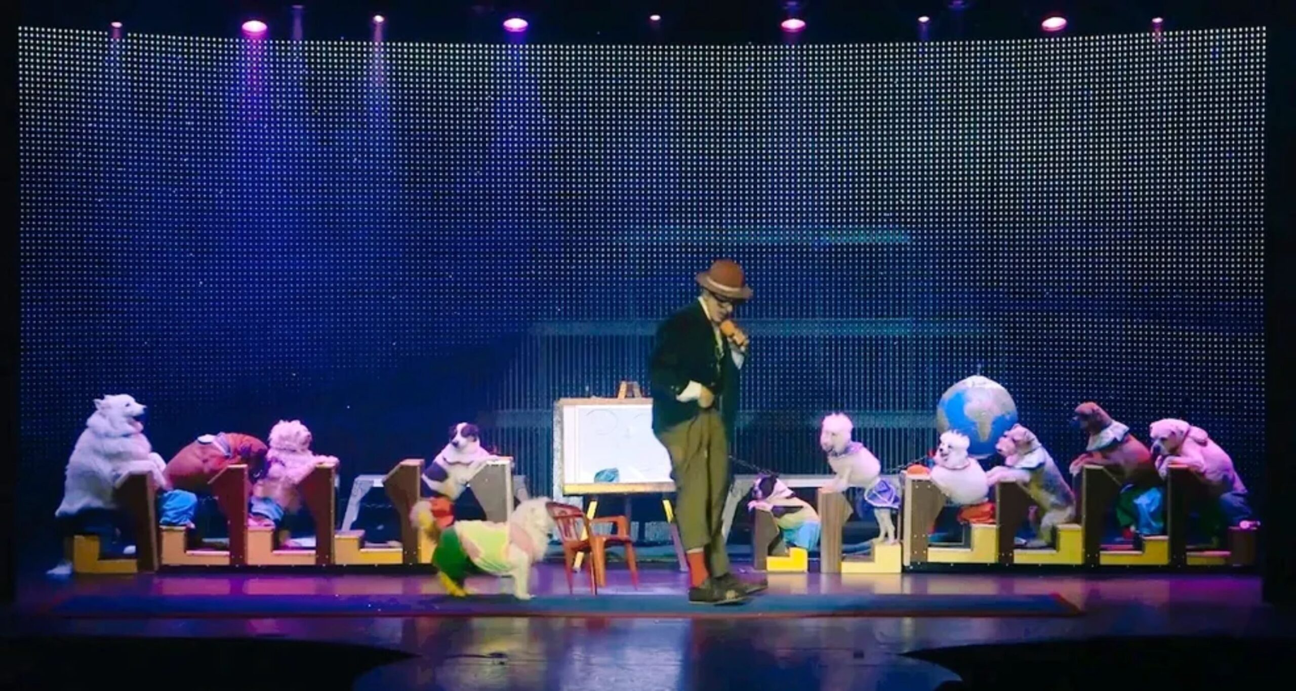 Popovich Comedy Pet Theater - Broadway Theatre League (3)