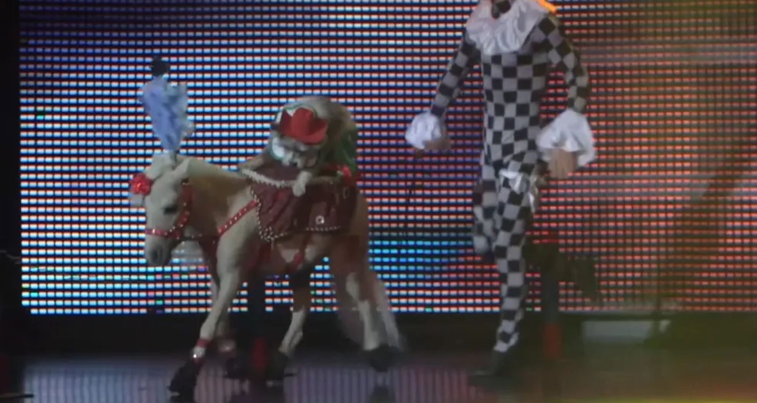 Popovich Comedy Pet Theater - Broadway Theatre League (5)